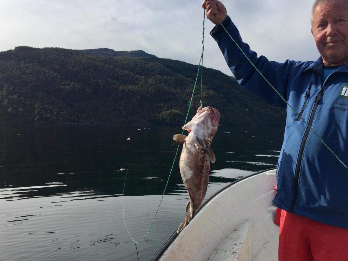 Kyrping Camping Buitenkant foto